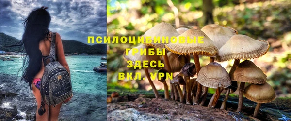 мескалин Михайловск