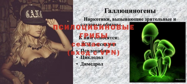 ECSTASY Михайловка