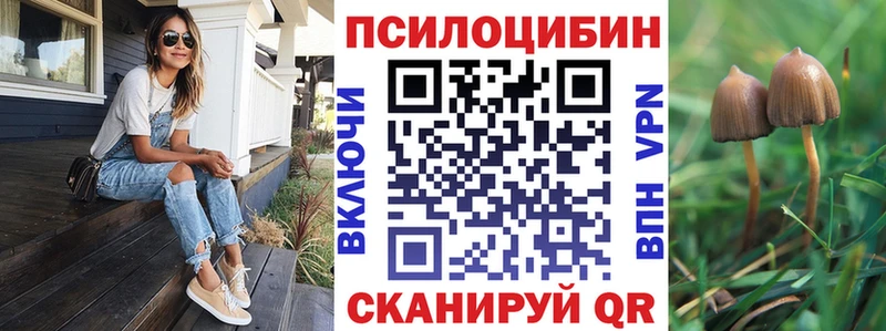 закладки  Нижний Новгород  Галлюциногенные грибы GOLDEN TEACHER 