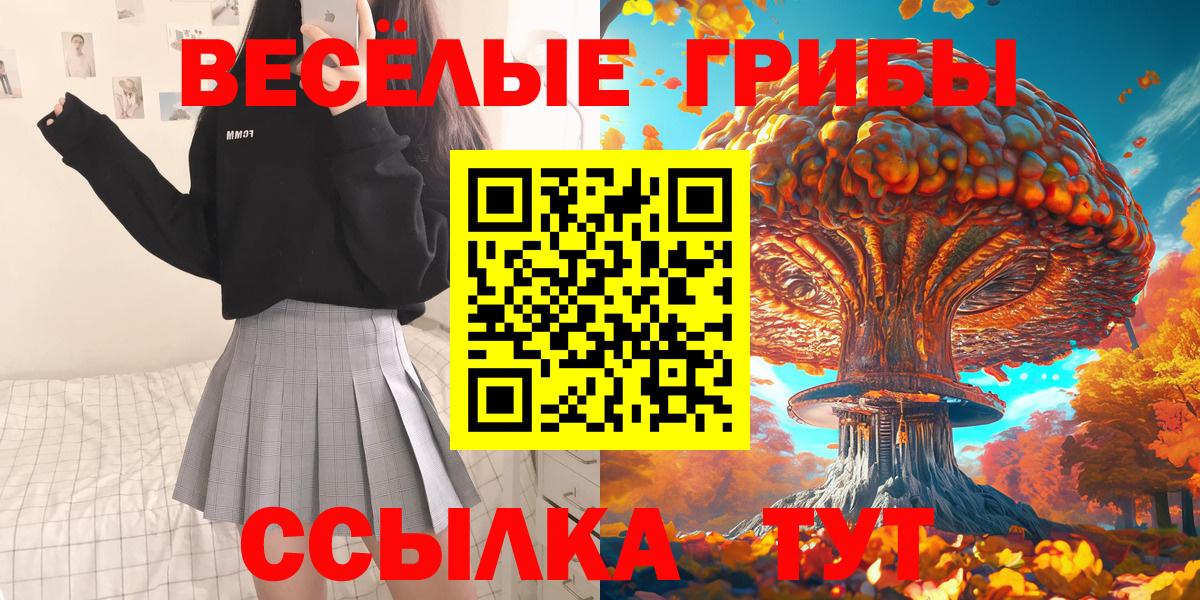Галлюциногенные грибы Psilocybe  Вход с VPN  Нижний Новгород 