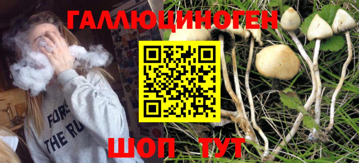 Галлюциногенные грибы ЛСД Нижний Новгород