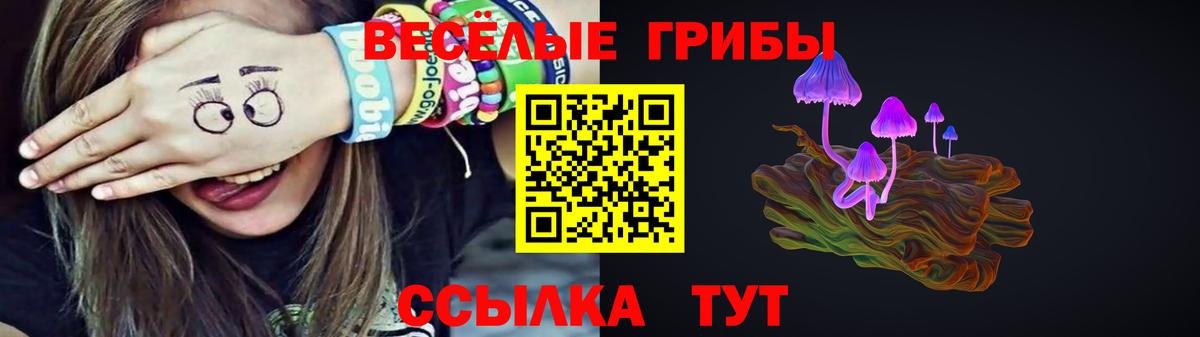 Галлюциногенные грибы Cubensis Нижний Новгород