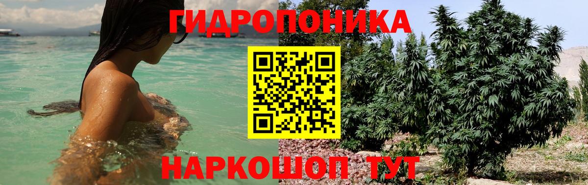 Марихуана SATIVA & INDICA  Канабис OG Kush  Бошки марихуана SATIVA & INDICA  Нижний Новгород 